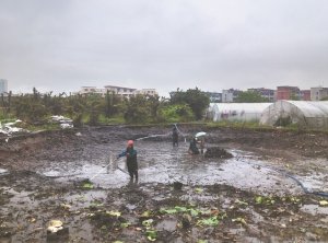 东安河道鱼塘清淤